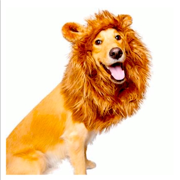 Other - Lions Mane costume for large size dog